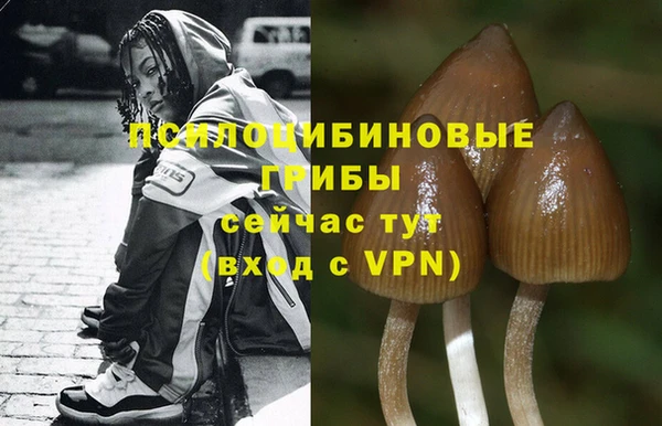 мяу мяу кристалл Баксан