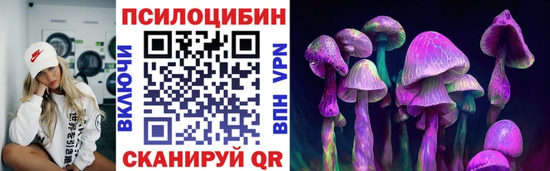 MEGA tor Шарыпово Галлюциногенные грибы Psilocybine cubensis
